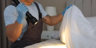 Traitement punaise de lit pas cher Paris 14 75014 – Devis gratuit dans le Paris - Île-de-France