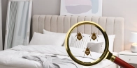Traitement punaise de lit pas cher Saint-Florentin 89600 – Devis gratuit dans le Yonne