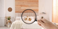 Traitement punaise de lit pas cher Paris 8 75008 – Devis gratuit dans le Paris - Île-de-France